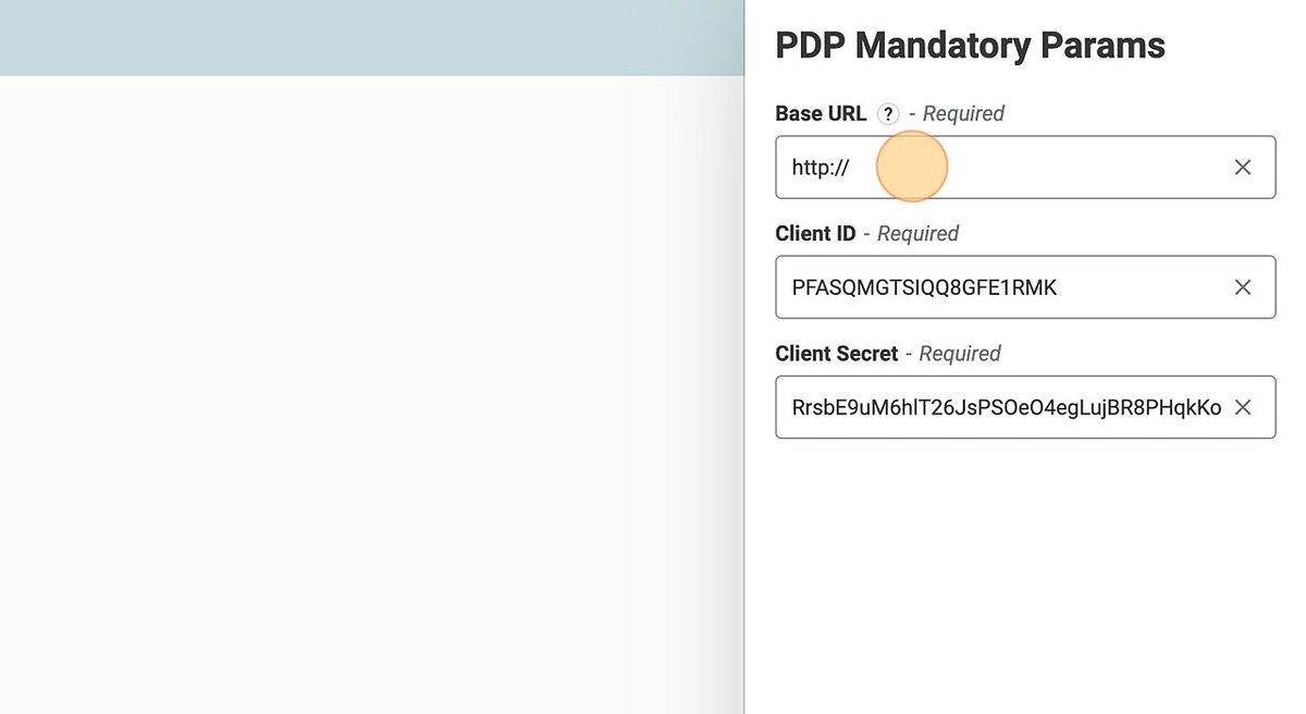 PDP mandatory parameters settings panel