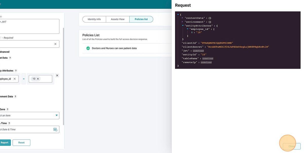 Raw request JSON panel